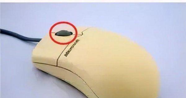 鼠标是输出设备还是输入设备