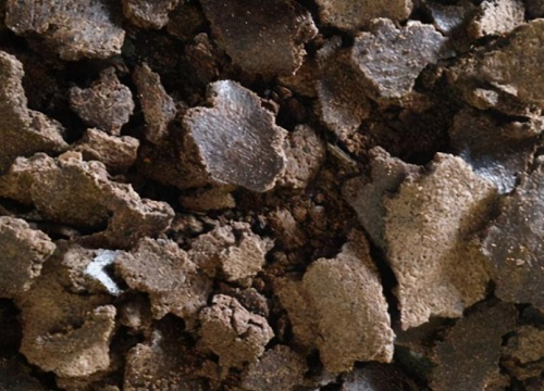 饼肥的使用方法及操作步骤介绍