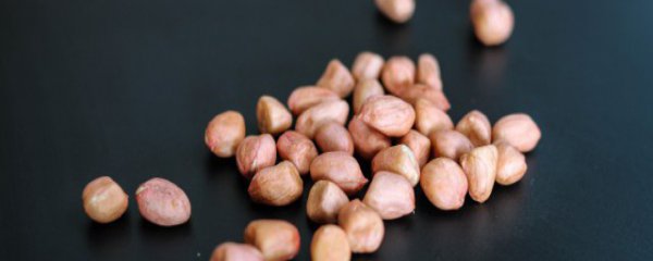 生虫的花生米还能吃吗