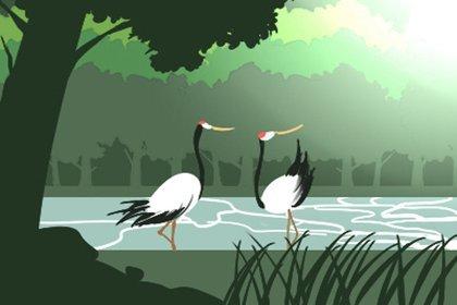 怎么看风水墓地什么方位最好看图