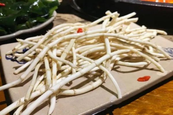 农村种植什么赚钱最快最稳不愁销路