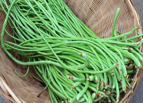 豇豆可以冷冻保存吗