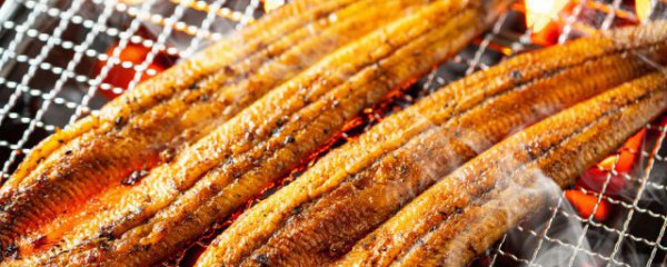 河鳗鱼的做法家常