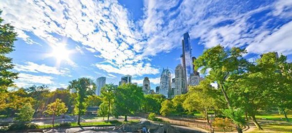 纽约有哪几个区分别是什么