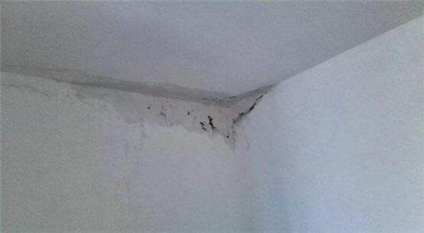 下雨外墙向内墙渗水如何修理