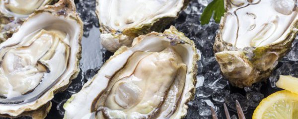 生蚝如何保鲜