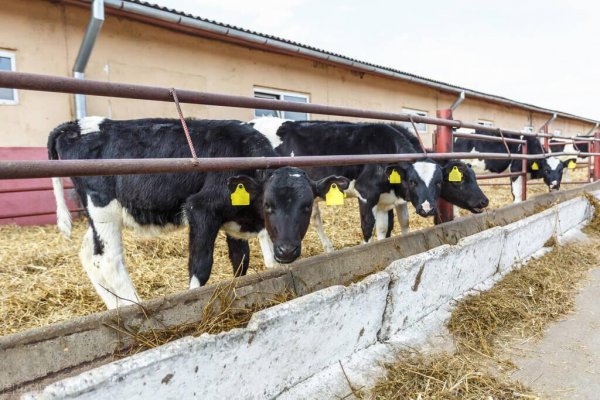 关于养殖业占地的最新政策