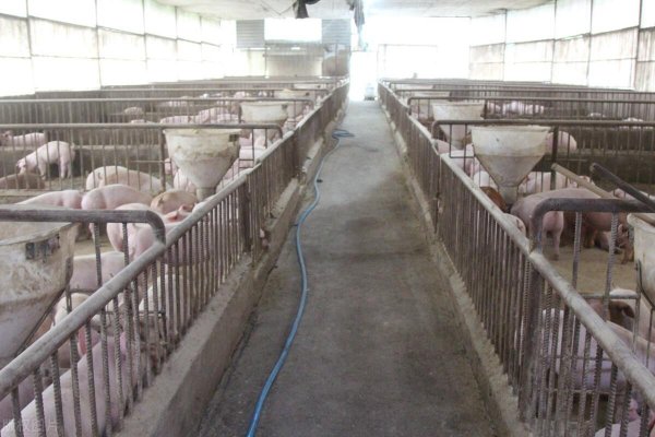 关于养殖业占地的最新政策