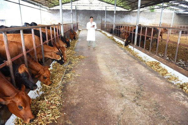 关于养殖业占地的最新政策