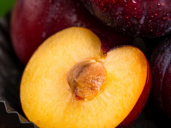 六月份什么水果是最当季的