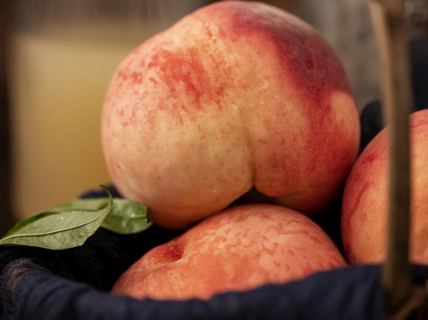 六月份什么水果是最当季的