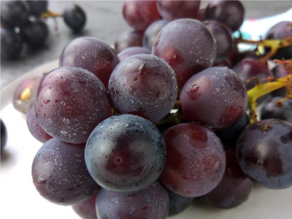 六月份什么水果是最当季的