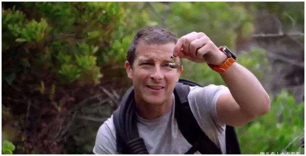 贝尔格里尔斯怎么不拍了