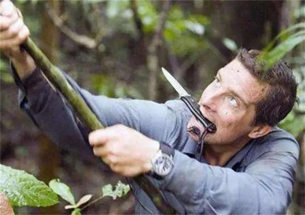 贝尔格里尔斯怎么不拍了