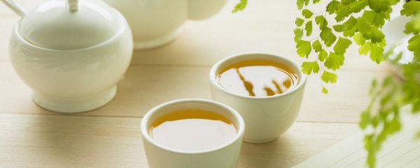 普通茶叶冷泡茶如何泡的