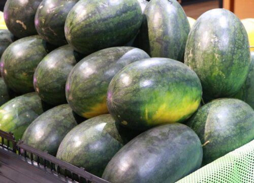 最畅销的西瓜品种