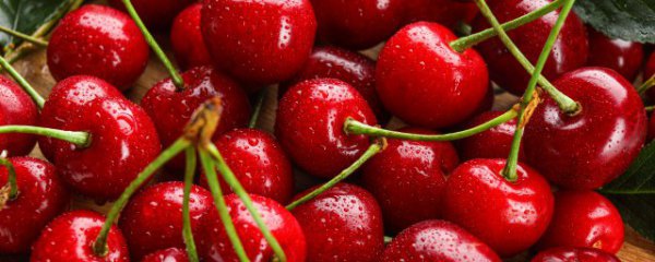 车厘子可不可以多吃