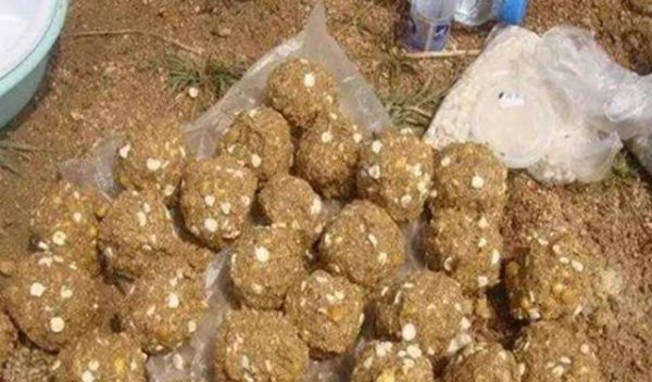 水库钓鱼技巧都有什么