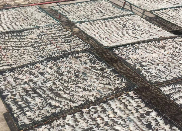 珠海旅游必去十大景点