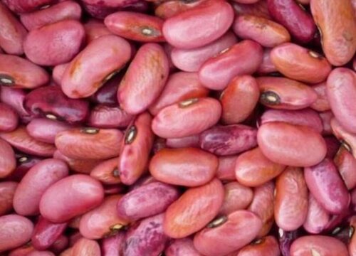 刀豆的功效与作用及食用方法