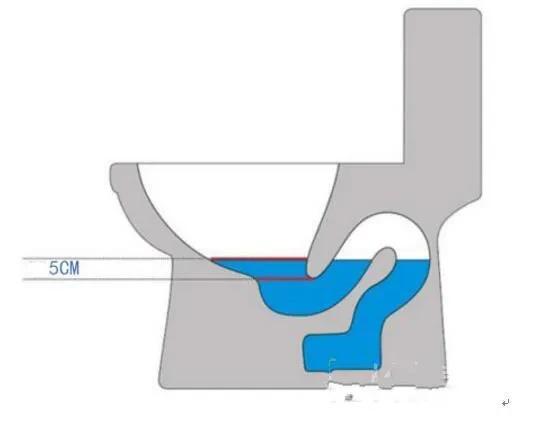 家里的马桶到底能不能冲卫生纸