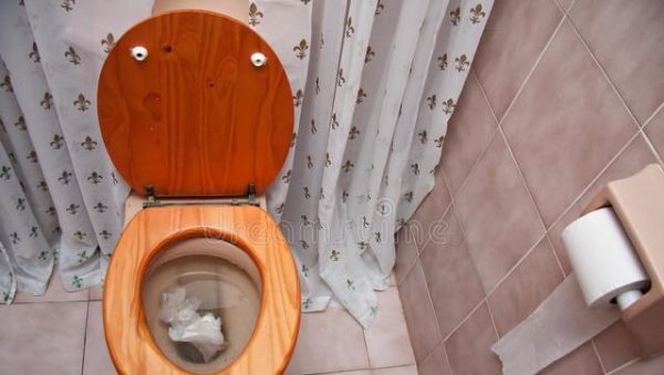 家里的马桶到底能不能冲卫生纸