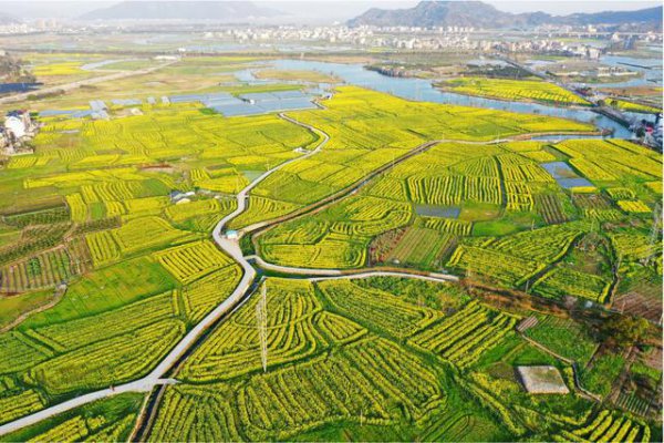 乐清是属于哪个省哪个市