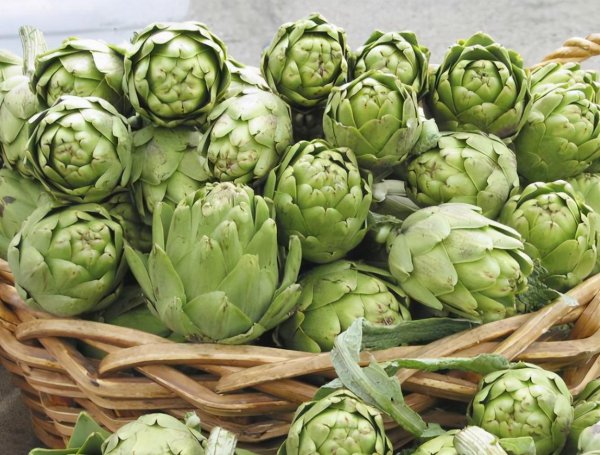 洋蓟是什么东西介绍