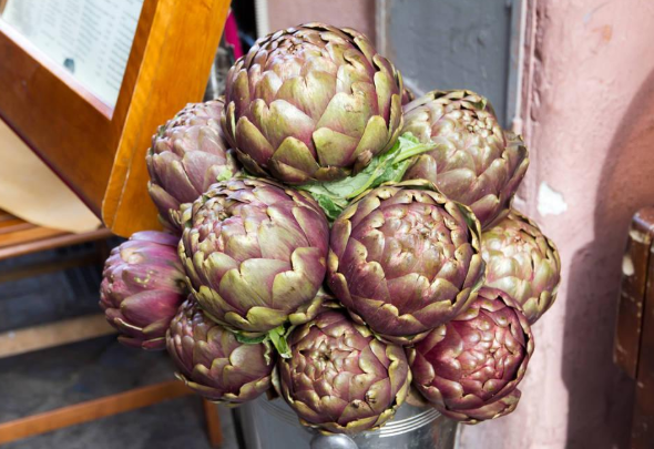 洋蓟是什么东西介绍