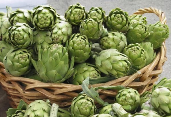 洋蓟是什么东西介绍