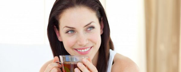 什么茶适合冬天泡茶