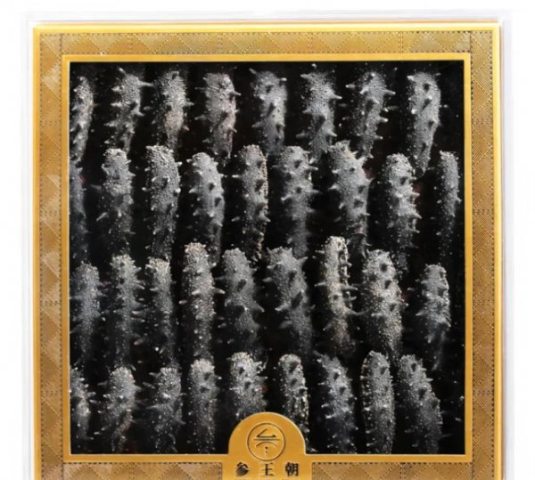 海参什么牌子性价比高又好吃