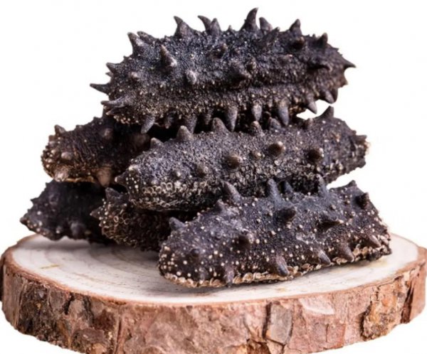 海参什么牌子性价比高又好吃