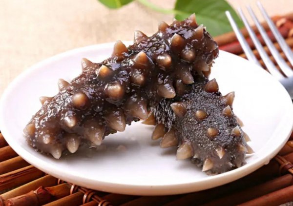 海参什么牌子性价比高又好吃