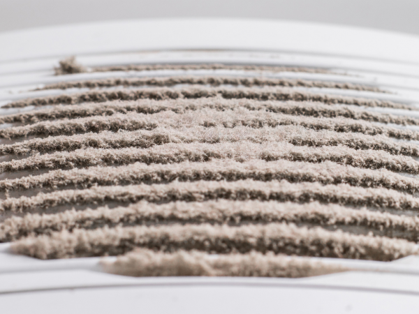 空气净化器能减少灰尘吗