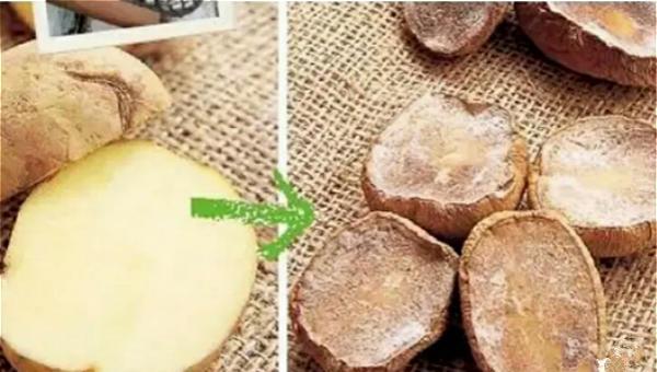 耐阴的蔬菜有哪些