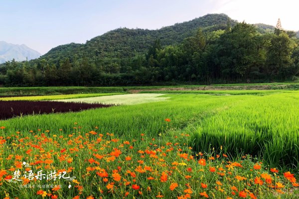 安吉余村景点介绍