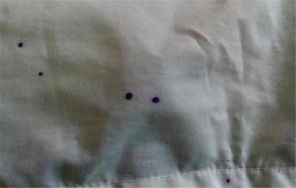水性笔墨水弄到衣服上怎么洗