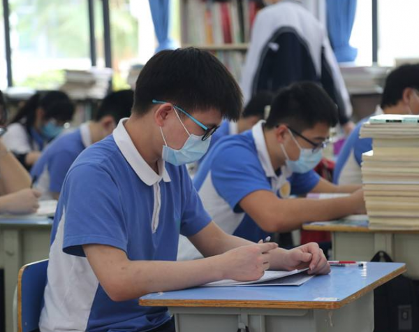 新高考纯文科组合真的惨吗