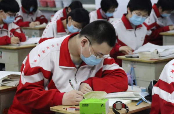 新高考纯文科组合真的惨吗