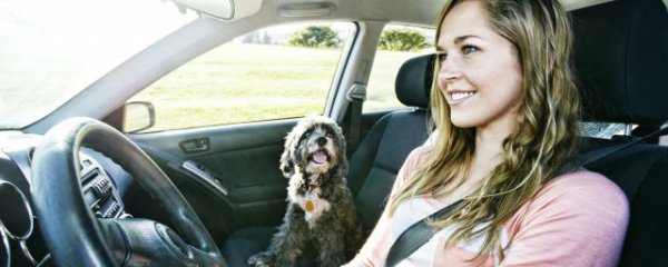 新手女生入手汽车怎么选