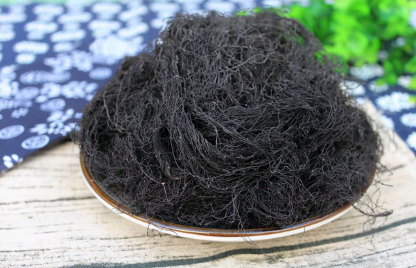 发菜有没有叶绿体