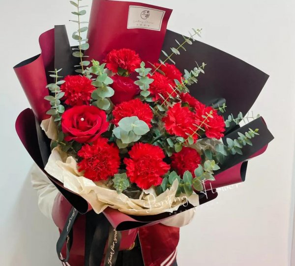 康乃馨的花语和寓意