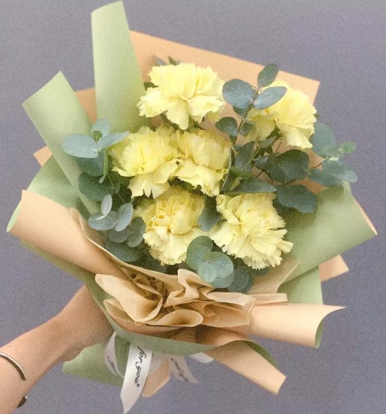 康乃馨的花语和寓意