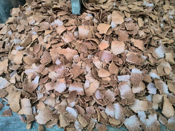 饼肥适合哪些花卉使用