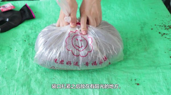 饼肥适合哪些花卉使用