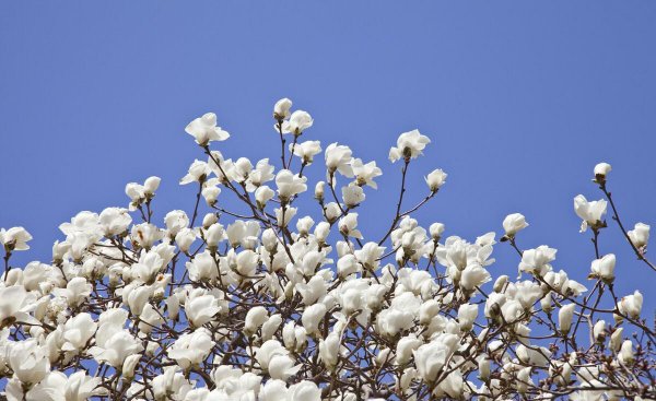 四川省仪陇县属于哪个市
