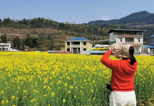四川省仪陇县属于哪个市