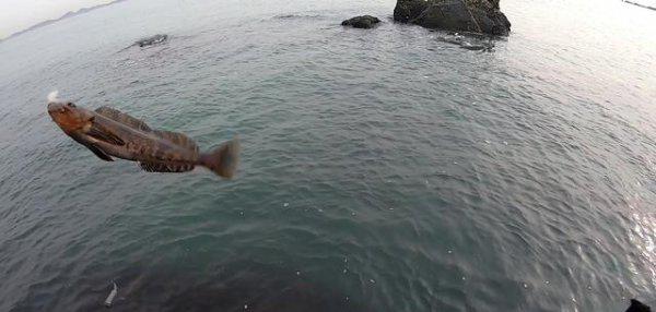 倒钓钩的绑法用几克铅头钩