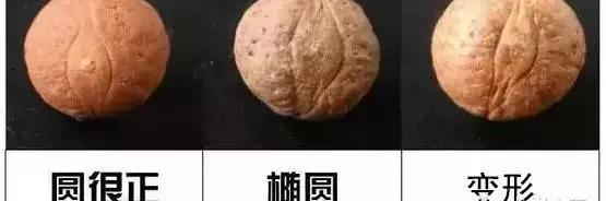 凤眼菩提手串一般多少钱